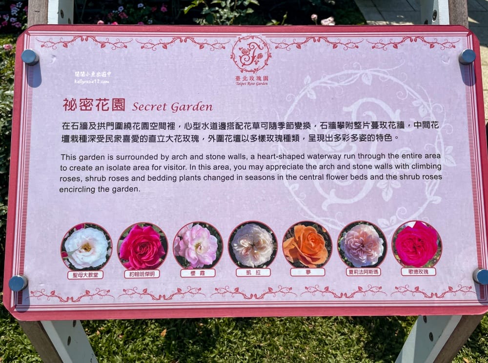 台北玫瑰園|新生公園玫瑰展,玫瑰花盛開,免費入園,台北免費賞花景點 - 第33張圖