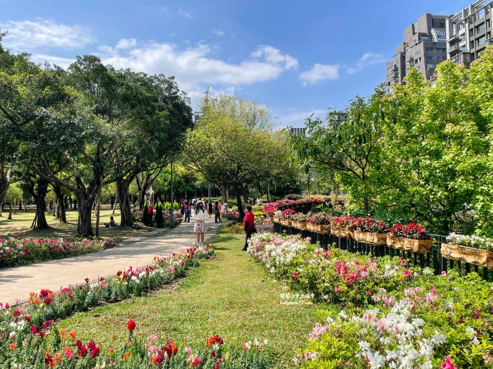大安森林公園|繡球花季杜鵑花季,位置、最新花況,2023台北花季,台北免費賞花景點 - 第11張圖