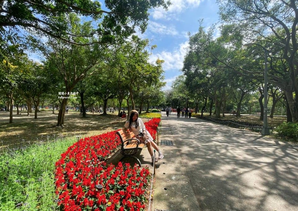 大安森林公園|繡球花季杜鵑花季,位置、最新花況,2023台北花季,台北免費賞花景點 - 第12張圖