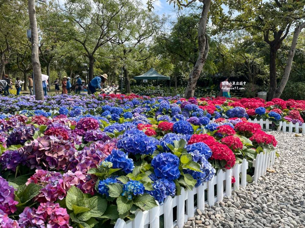 大安森林公園|繡球花季杜鵑花季,位置、最新花況,2023台北花季,台北免費賞花景點 - 第23張圖