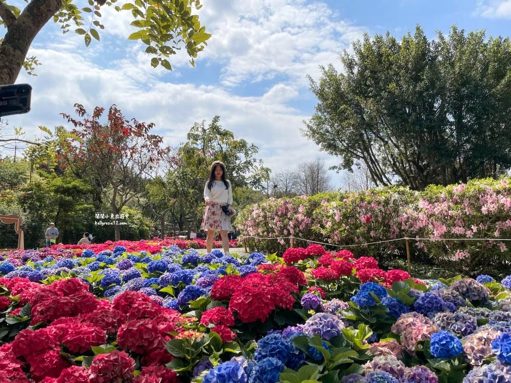 大安森林公園|繡球花季杜鵑花季,位置、最新花況,2023台北花季,台北免費賞花景點 - 第25張圖