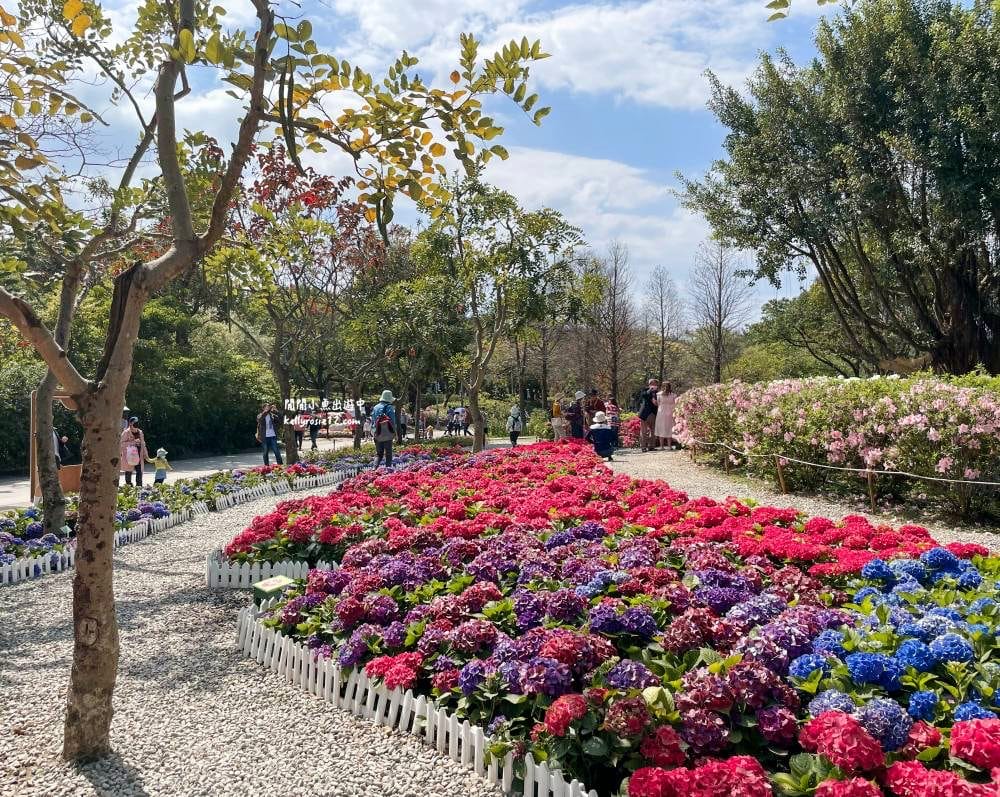 大安森林公園|繡球花季杜鵑花季,位置、最新花況,2023台北花季,台北免費賞花景點 - 第30張圖