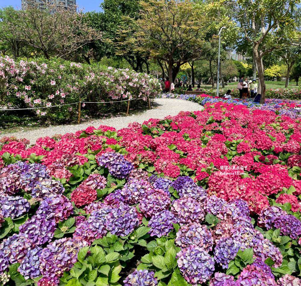 大安森林公園|繡球花季杜鵑花季,位置、最新花況,2023台北花季,台北免費賞花景點 - 第26張圖