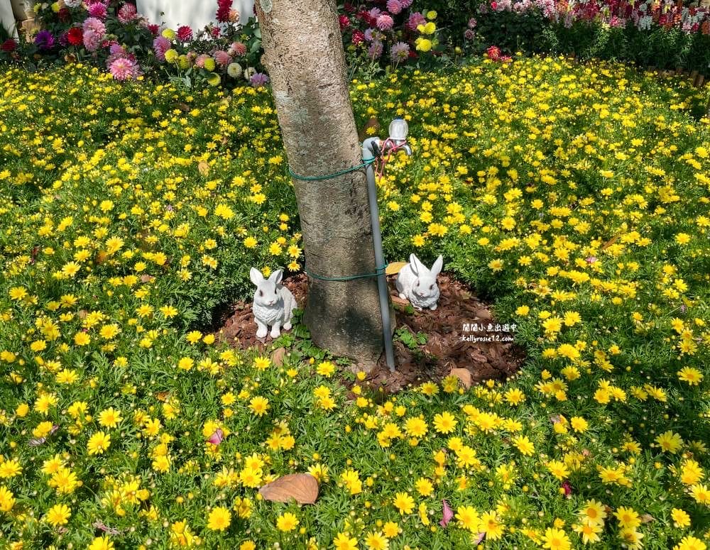 大安森林公園|繡球花季杜鵑花季,位置、最新花況,2023台北花季,台北免費賞花景點 - 第18張圖