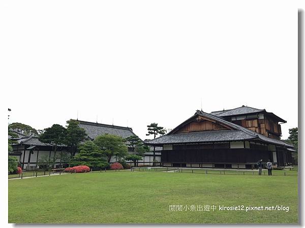 IMG_0825.jpg