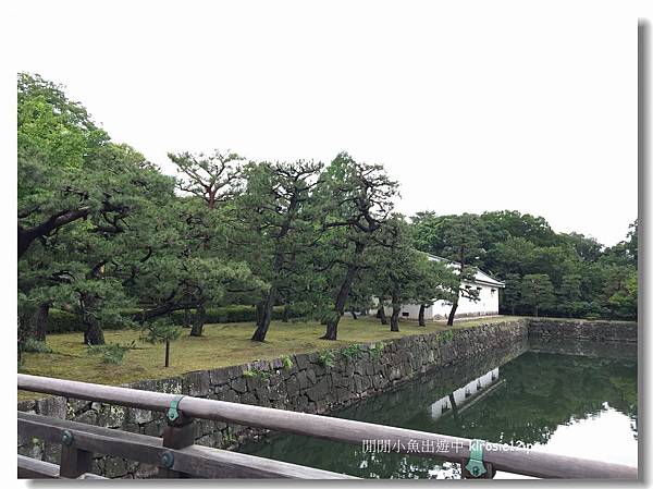 IMG_0836.jpg