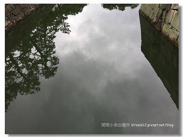 IMG_0839.jpg