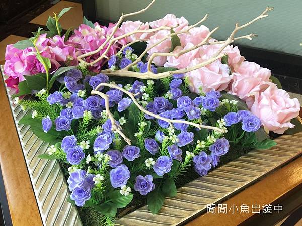 IMG_8120.jpg