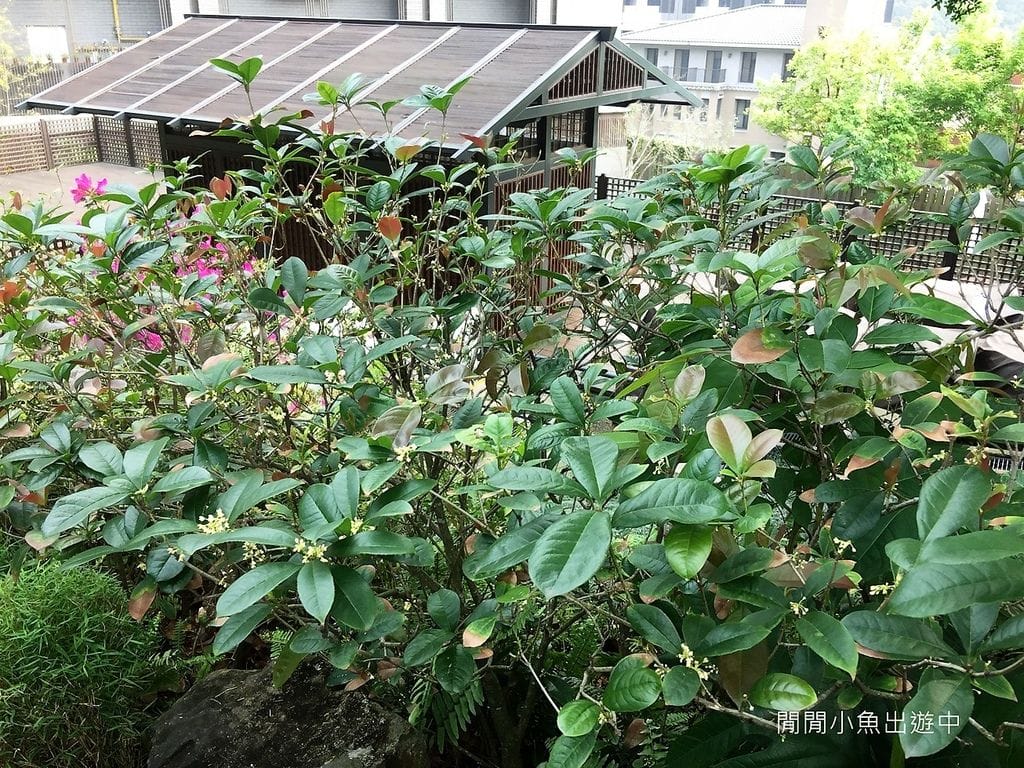 IMG_8699.jpg