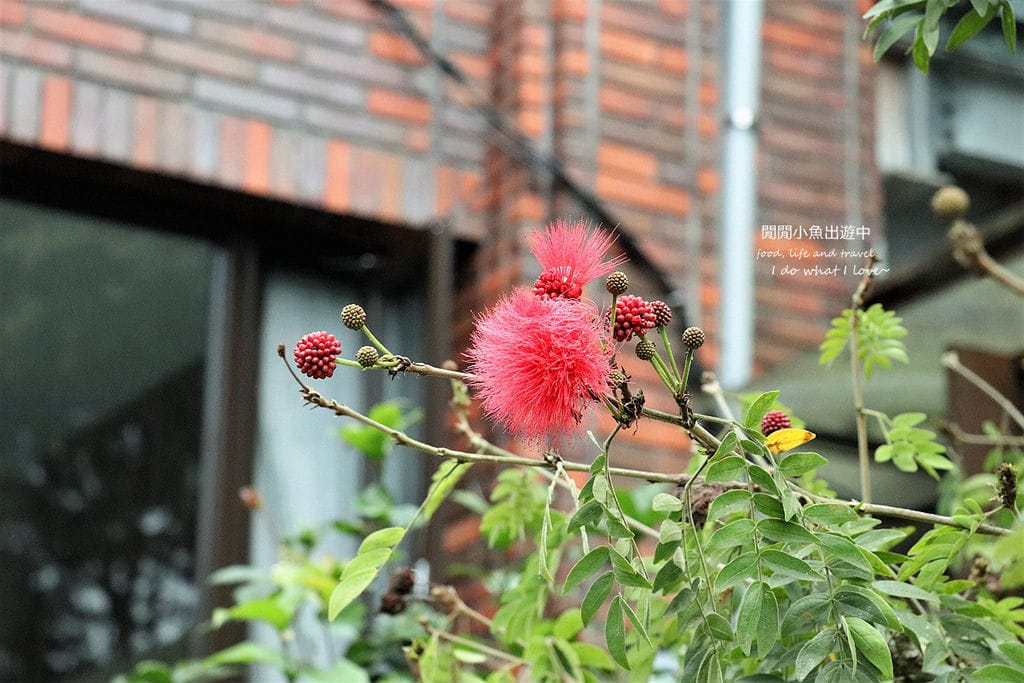 IMG_5331 - 複製.JPG