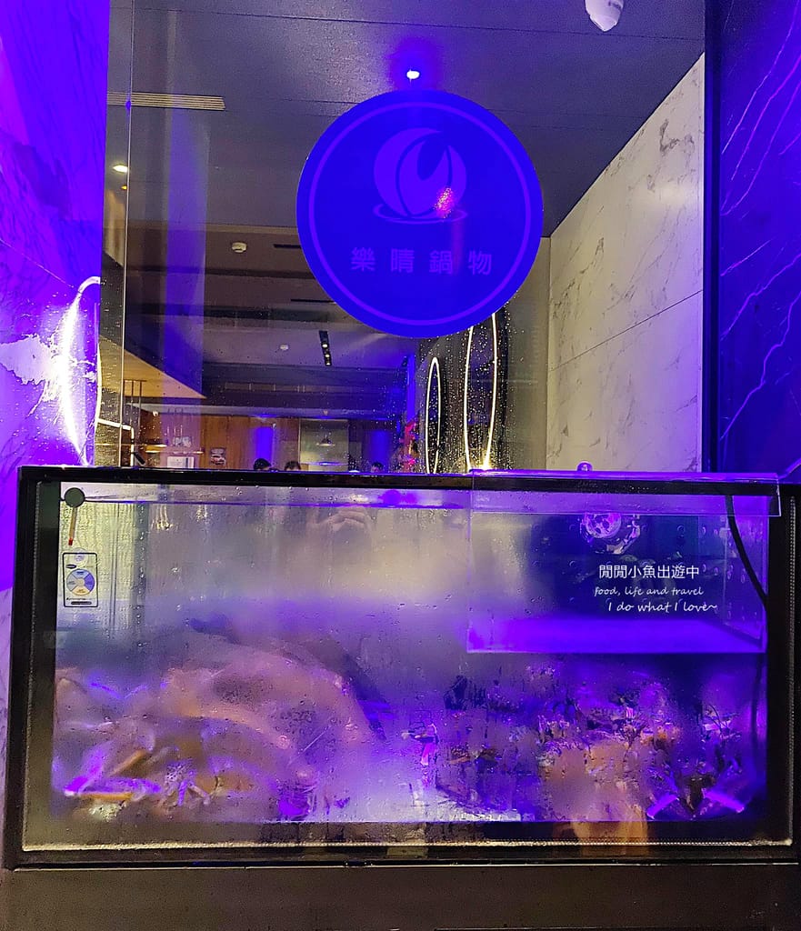 中山國小火鍋樂晴鍋物。精緻時尚火鍋店，點套餐活龍蝦只要$399、飲料無限暢飲