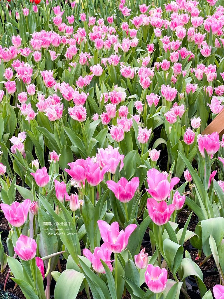 image38.jpg