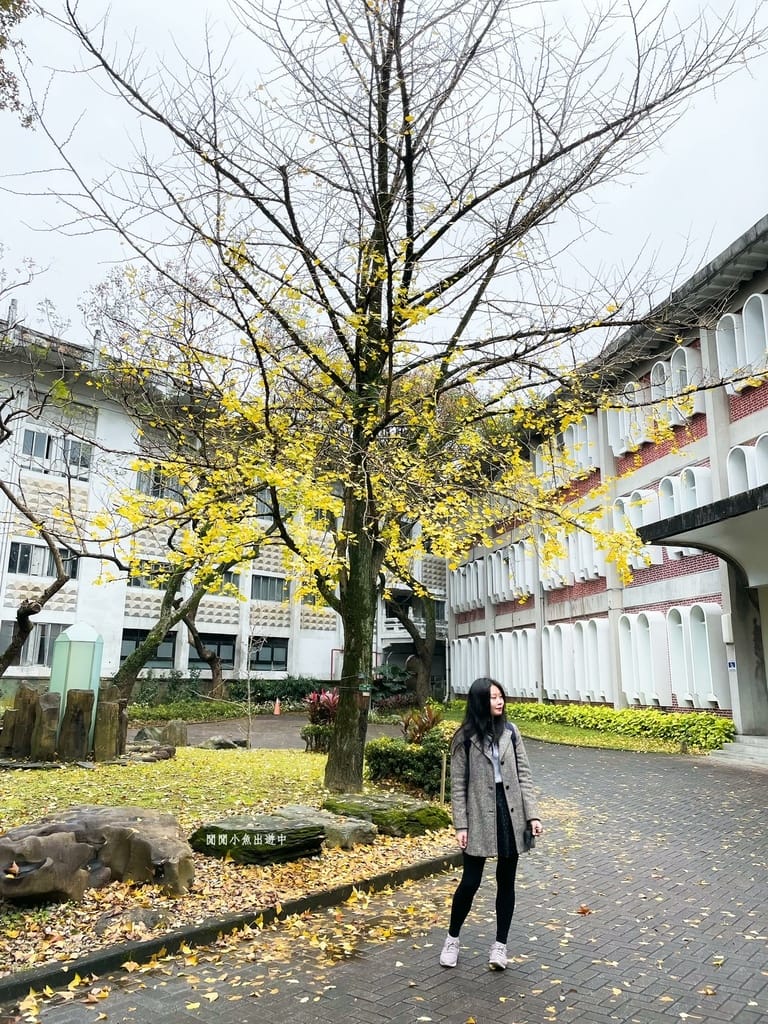 image3.jpeg