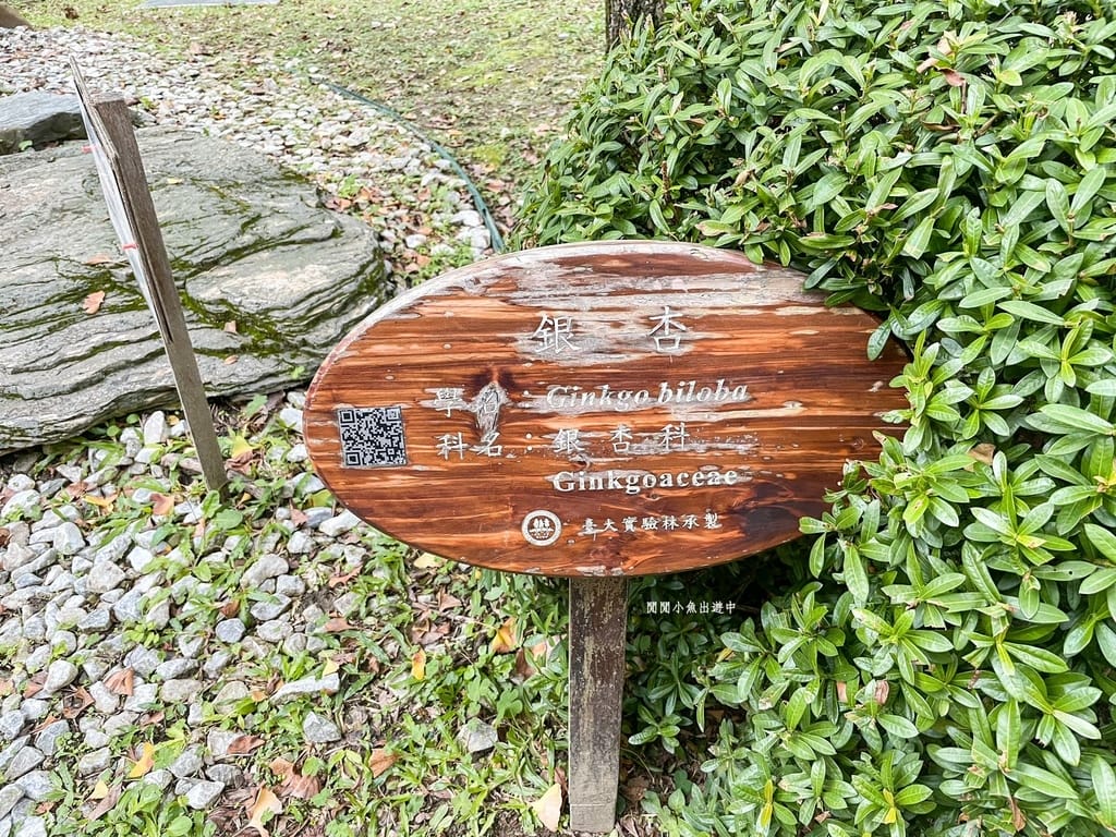 image5.jpeg