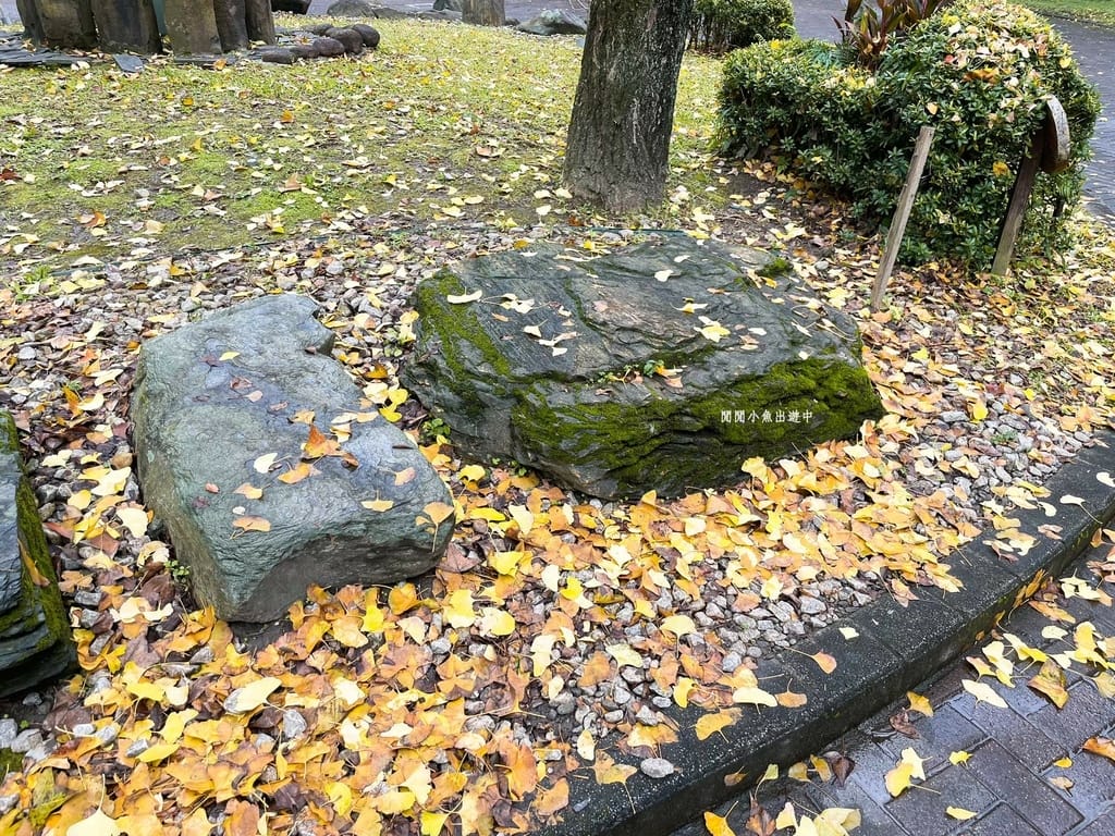 image6.jpeg