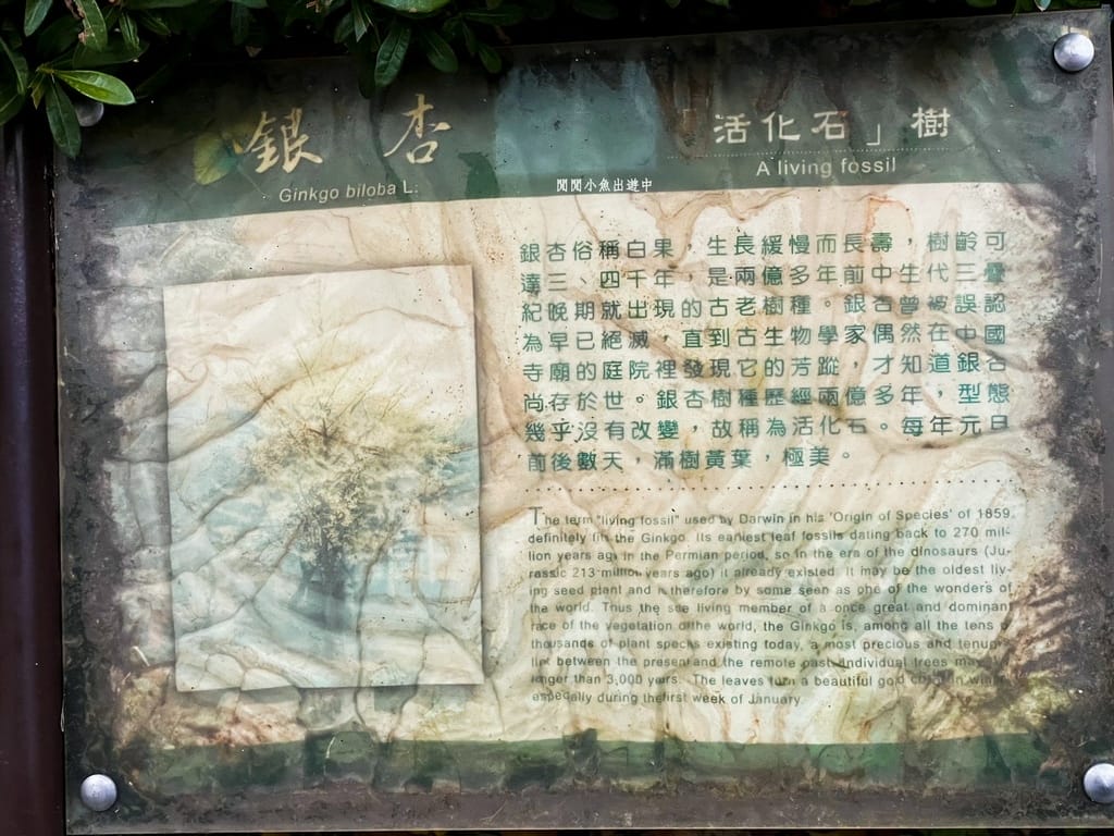 image12.jpeg